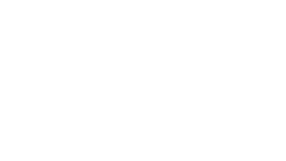 Brigitte Seumenicht